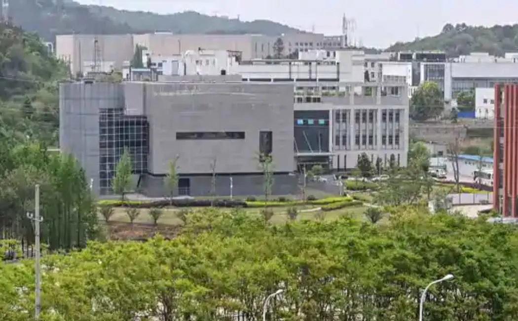 wuhan lab